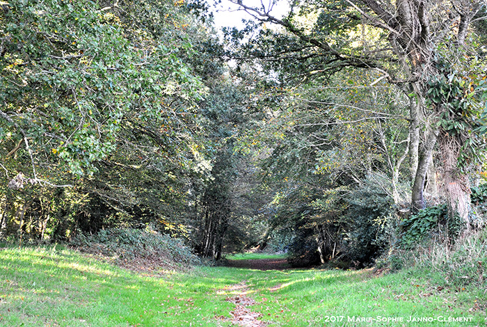 Se promener au Faouët et dans sa campagne