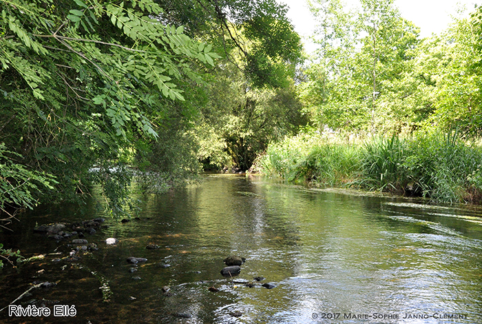 Eau et énergie