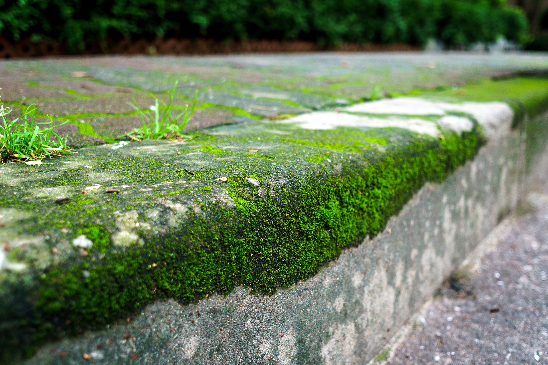 Entretien des trottoirs