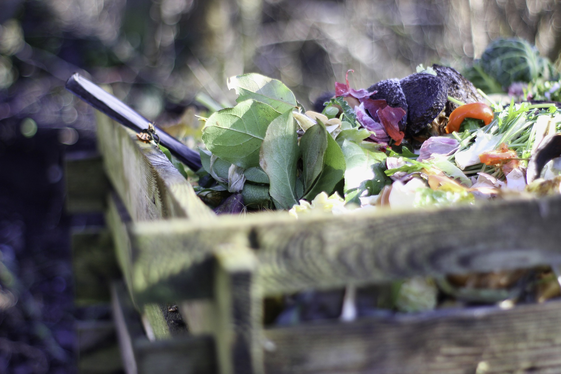 Les formations « compostage-jardinage zéro déchet »