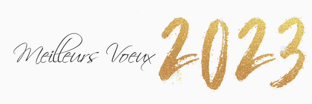Cérémonie des Vœux du Maire