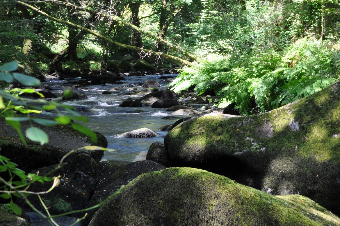 A la découverte de la biodiversité dans la Vallée de l’Ellé / NATURE