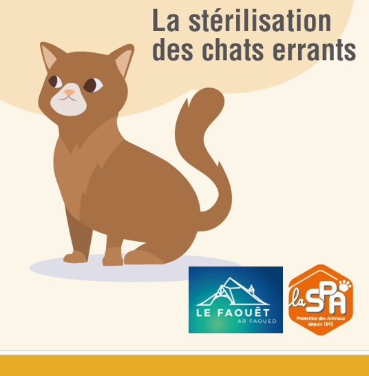 Campagne de stérilisation des chats errants