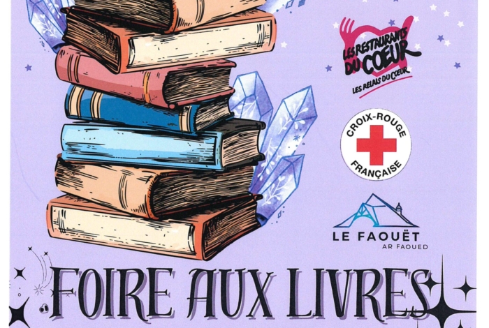 FOIRE AUX LIVRES
